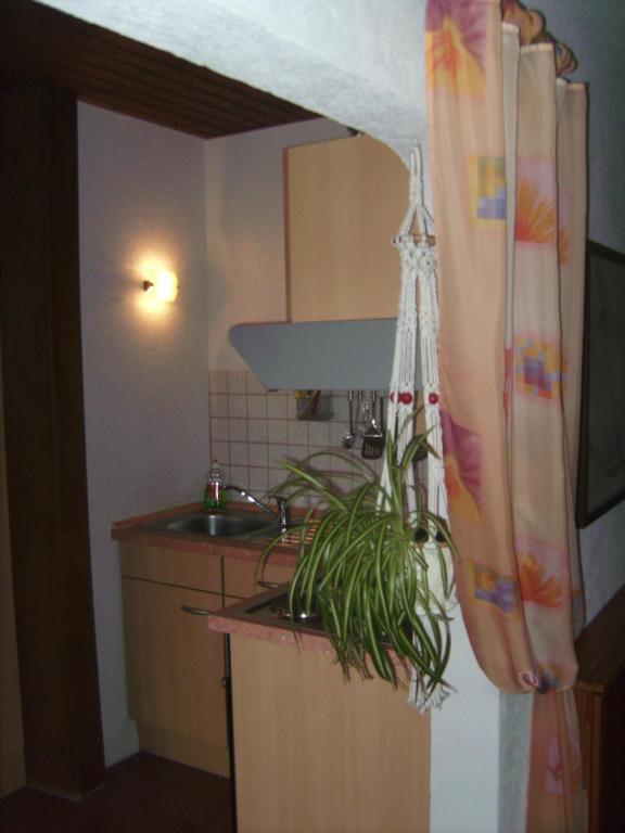 Ferienwohnung Evangeline Borsch Zell an der Mosel Zewnętrze zdjęcie